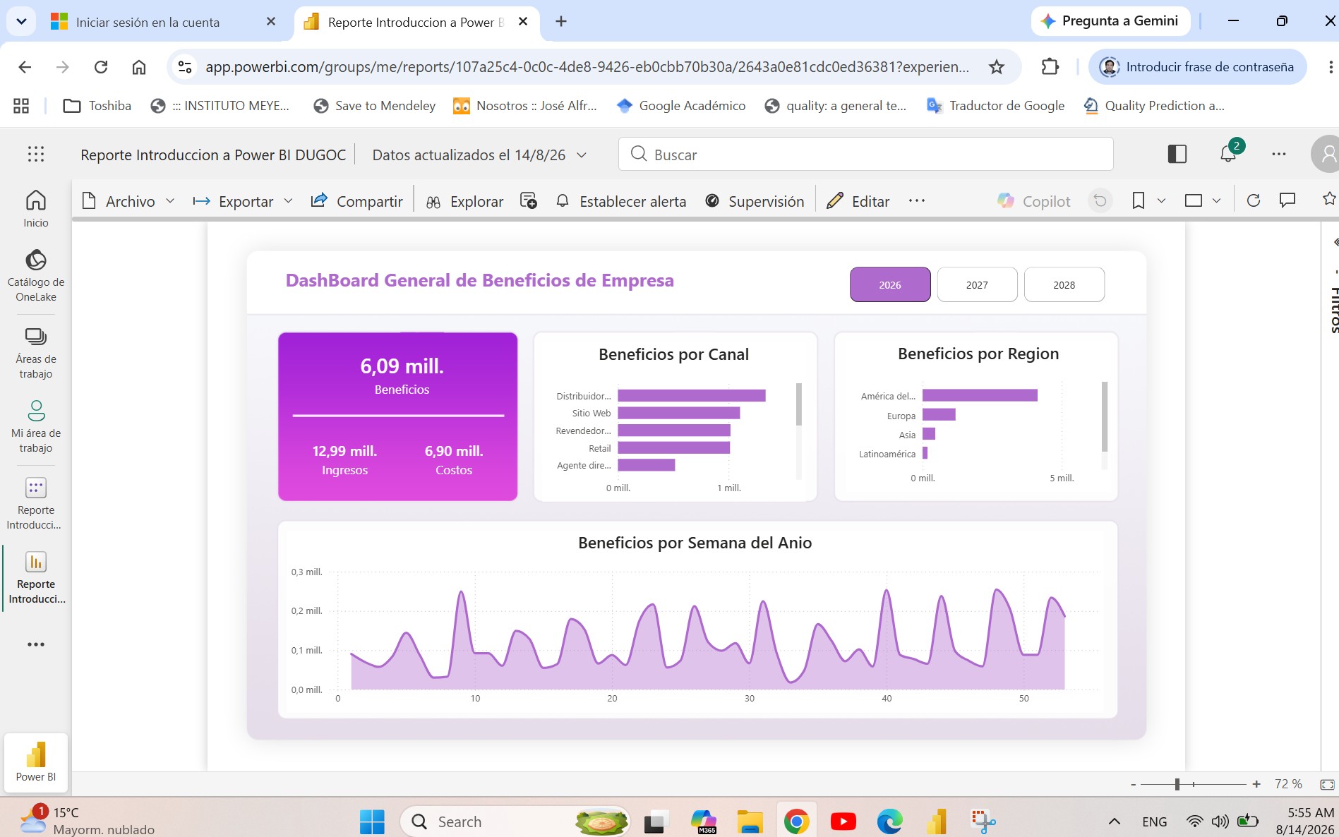 Vista previa de Dashboard general de beneficios de empresa